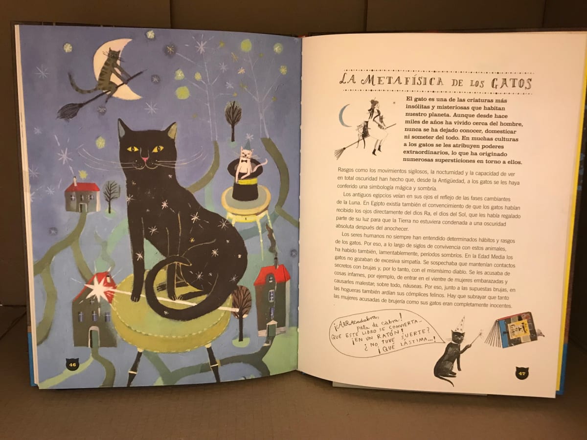 ASÍ ES EL GATO2