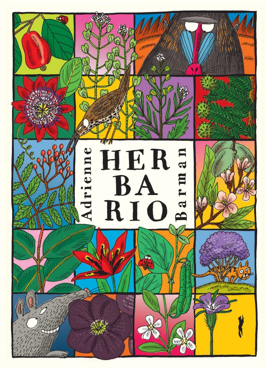 HERBARIO1