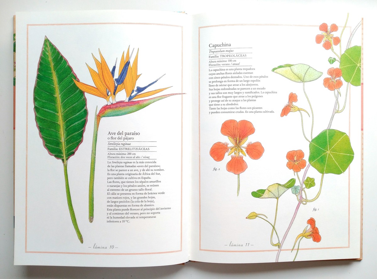 INVENTARIO ILUSTRADO DE FLORES1