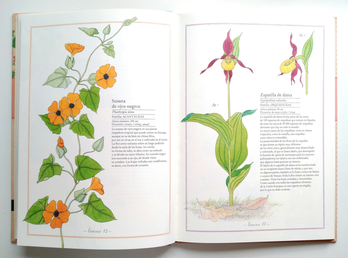 INVENTARIO ILUSTRADO DE FLORES2