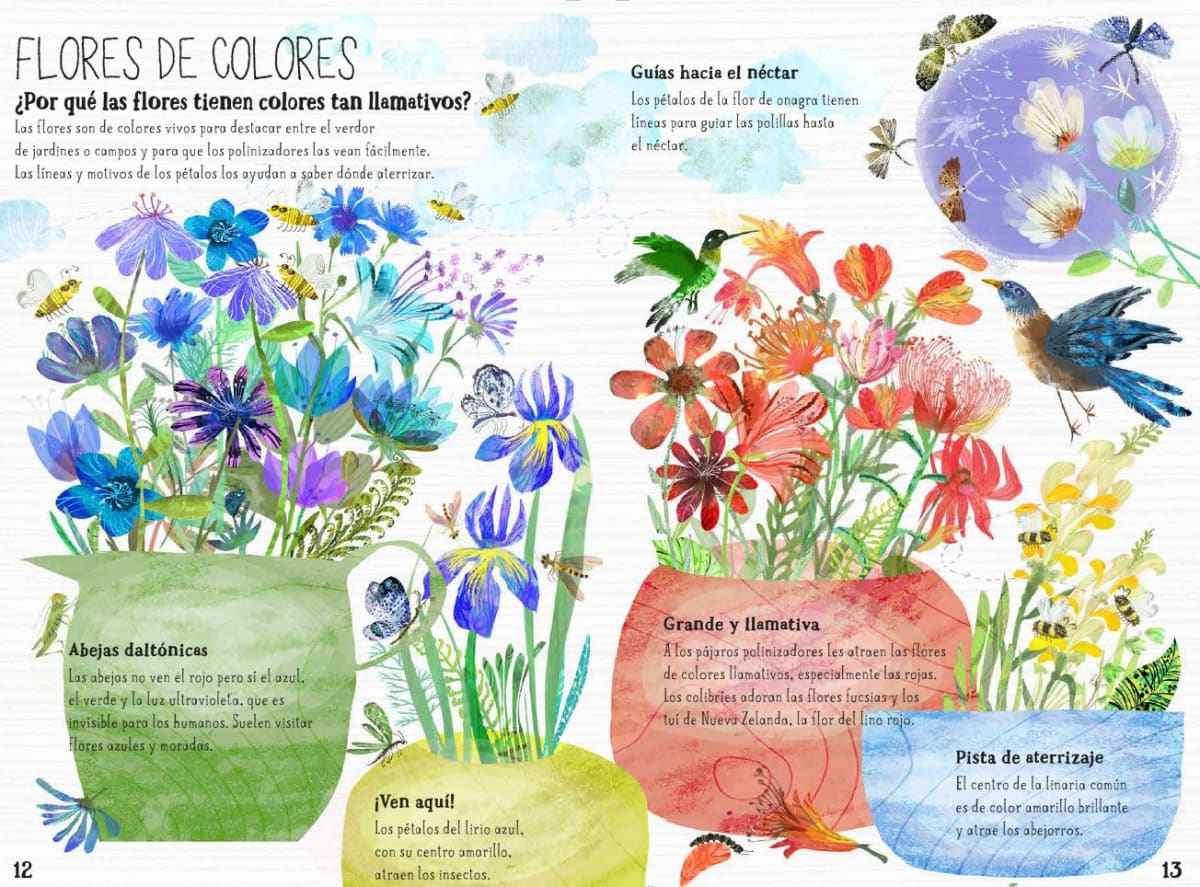 EL GRAN LIBRO DE LAS FLORES (EDITORIAL JUVENTUD)4