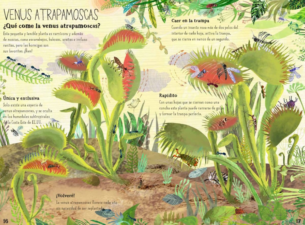 EL GRAN LIBRO DE LAS FLORES (EDITORIAL JUVENTUD)2