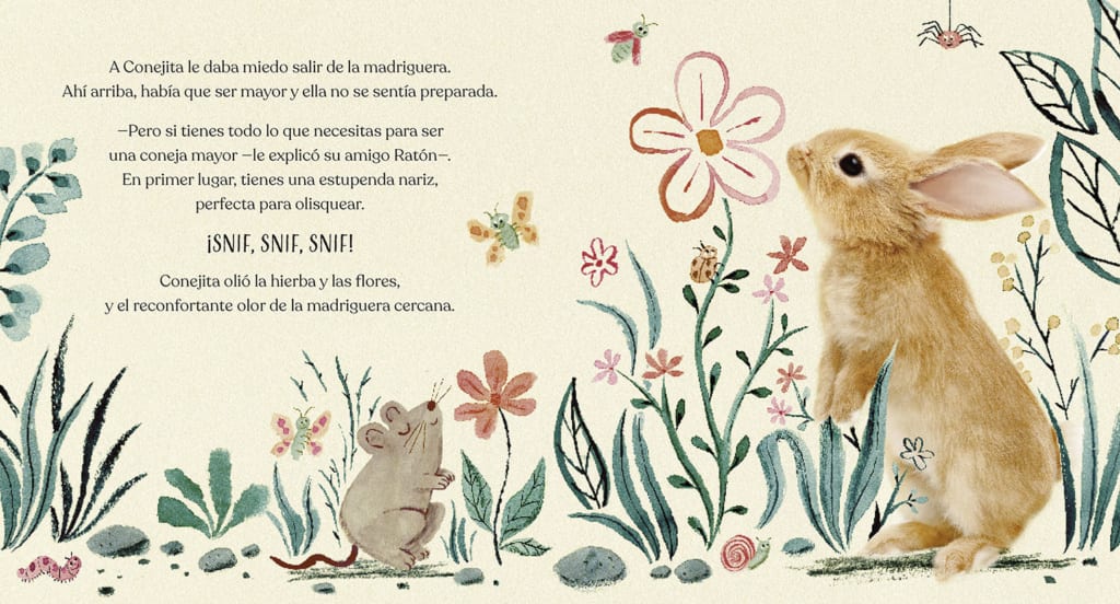 BUENAS NOCHES CONEJITA4