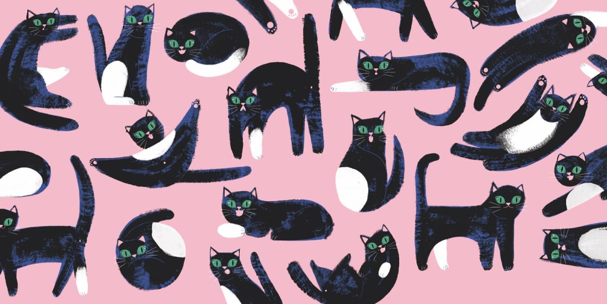 LA INCREÍBLE PERO CIERTA HISTORIA DEL GATO LUNA3