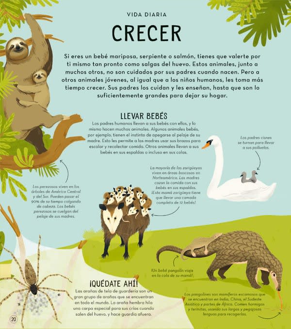 LA SORPRENDENTE VIDA DE LOS ANIMALES3