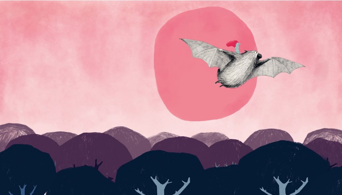 LA FIESTA DE LOS PÁJAROS7