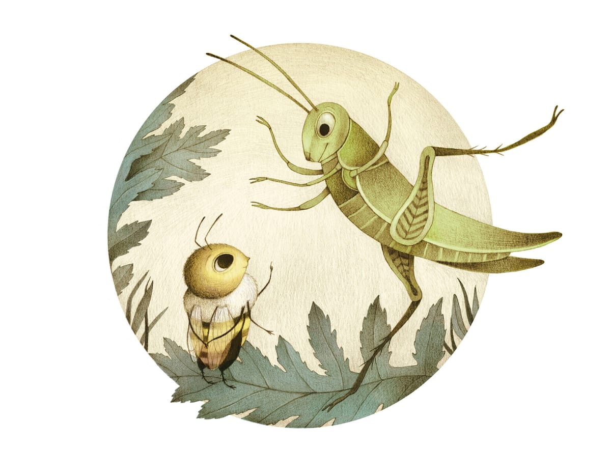 LAS AVENTURAS DE LA ABEJA MAYA2