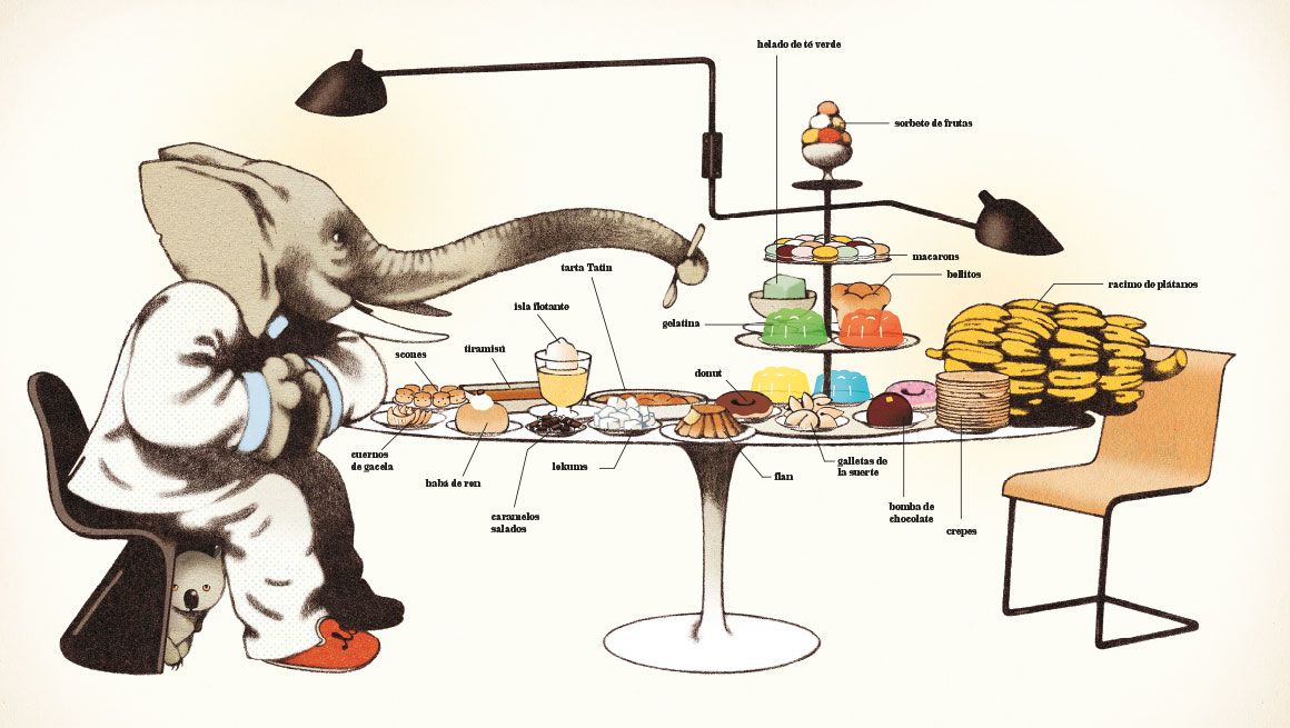 LA MEMORIA DEL ELEFANTE7