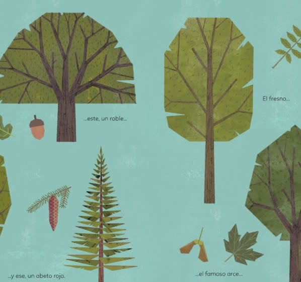 EN BUSCA DE LA FLOR MILDESTELLOS DORADA2