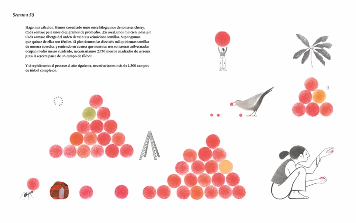MIL TOMATES Y UNA RANA4