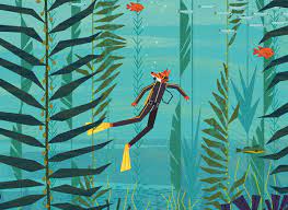 EN BUSCA DE LA FLOR CONSTELIS DE LAS PROFUNDIDADES2