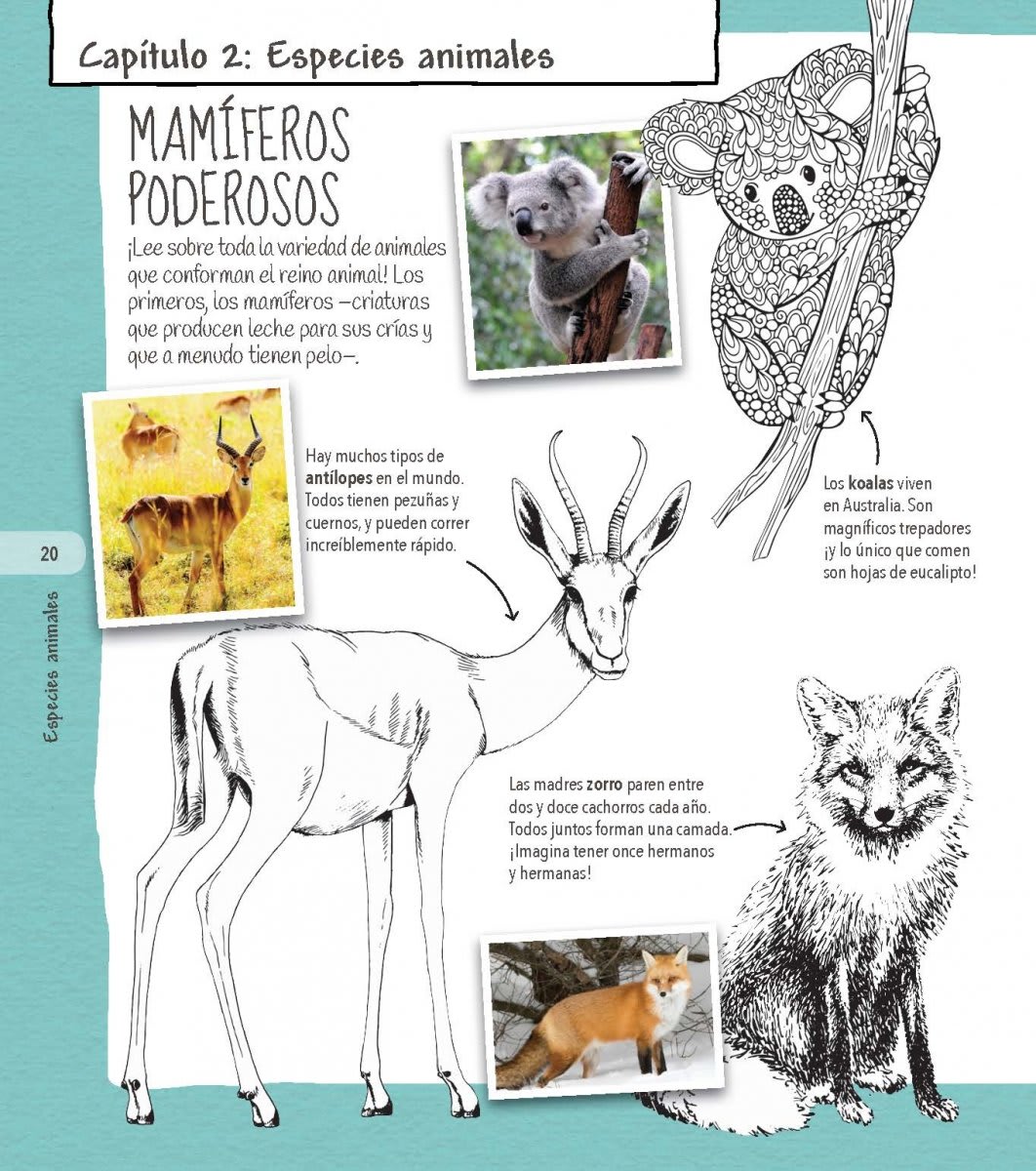 COLORPEDIA DE LOS ANIMALES3