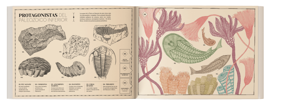 PAISAJES PERDIDOS DE LA TIERRA2