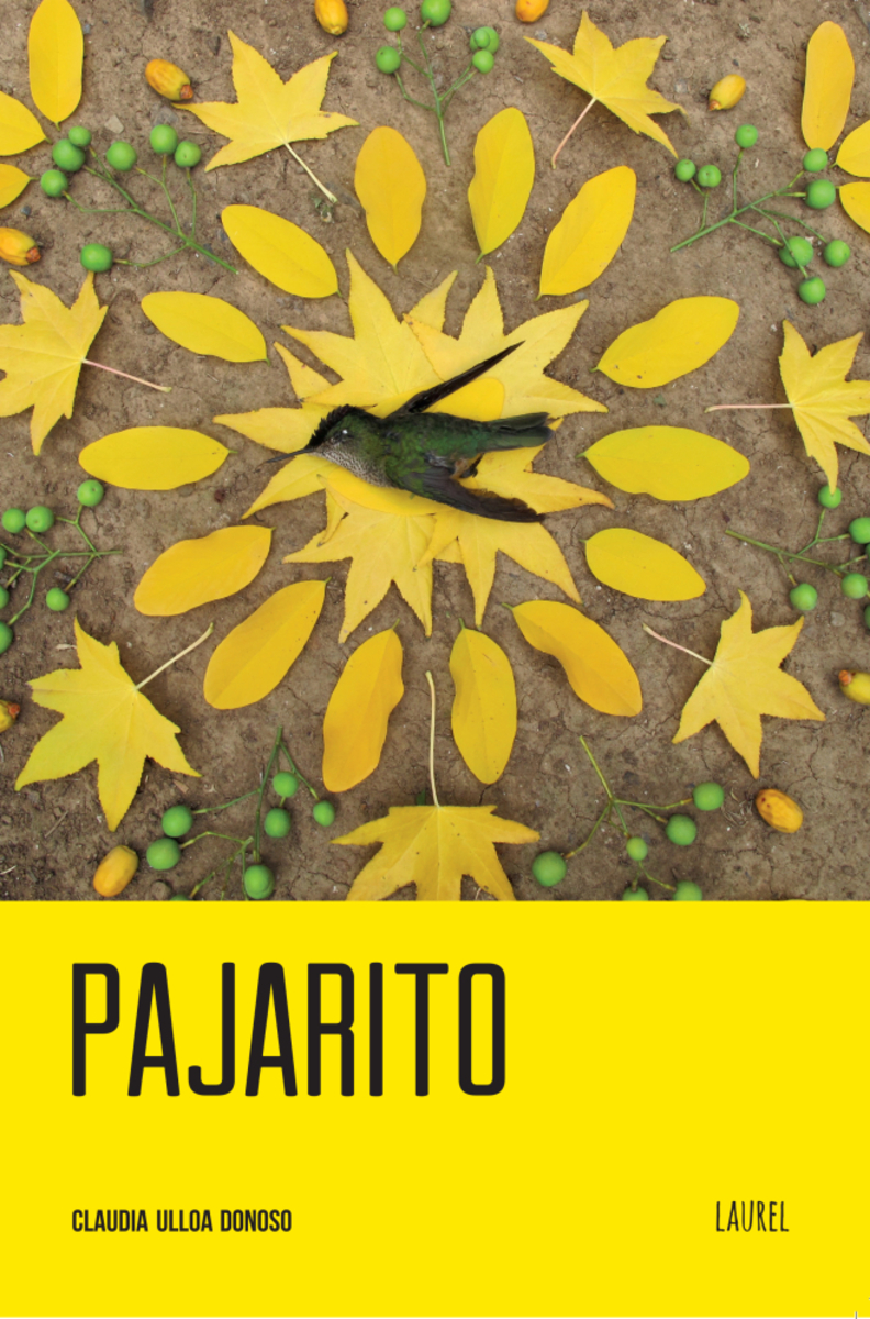 PAJARITO1