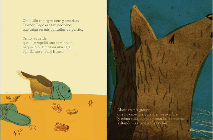 PANTUFLAS DE PERRITO2