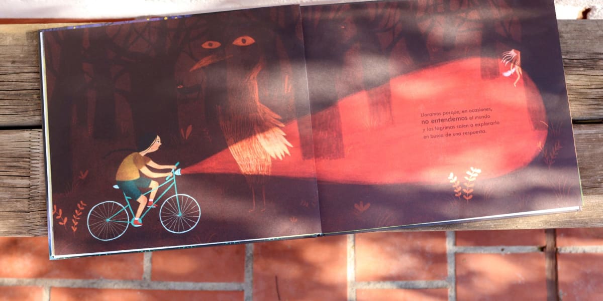 ¿POR QUÉ LLORAMOS?2