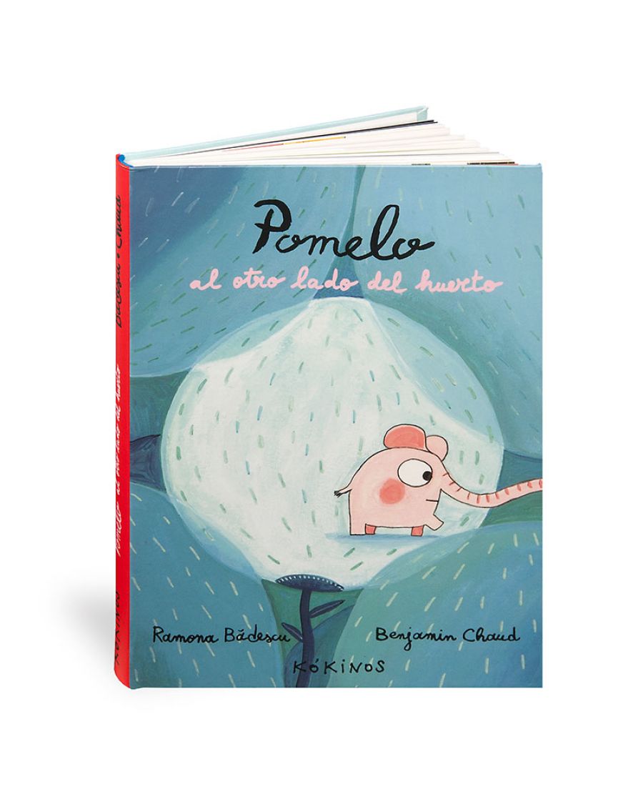 POMELO AL OTRO LADO DEL HUERTO1