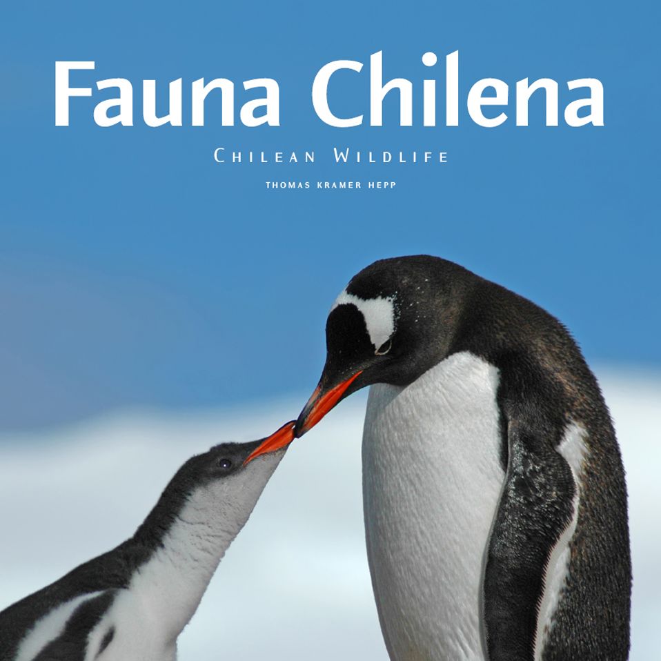 FAUNA CHILENA1