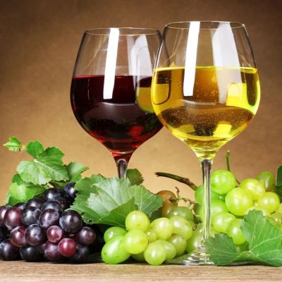 vinos vinos