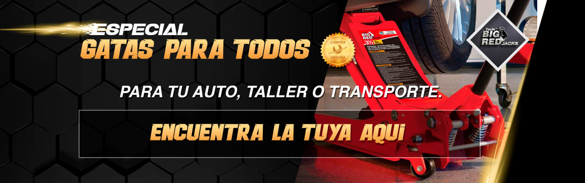 collection gatas hidra%C3%BAlicas