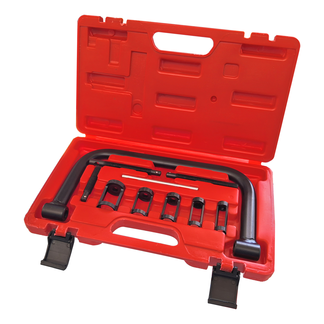 Tagliando GPL Completo Landi Renzo IG1 - Kit Revisione Con Filtri E Membrane - Foto 2