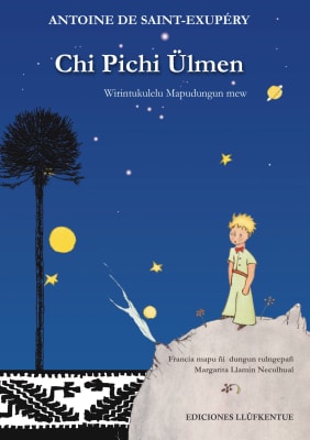 CHI PICHI ULMEN1