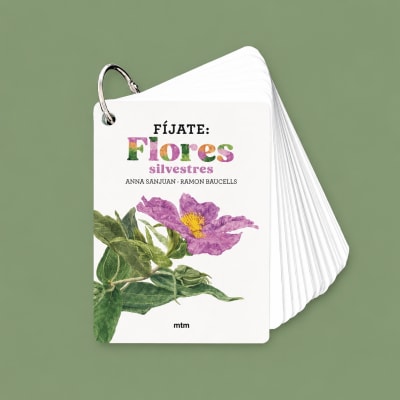 FIJATE: FLORES SILVESTRES1