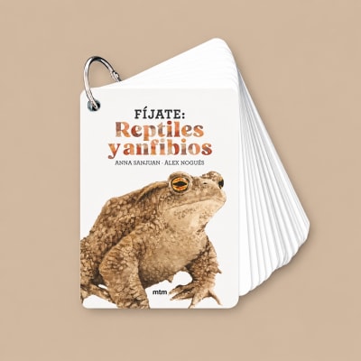 FIJATE: REPTILES Y ANFIBIOS1