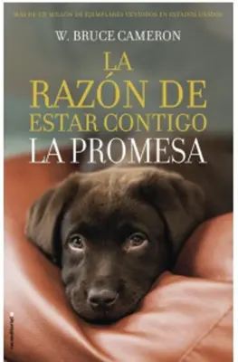 LA RAZON DE ESTAR CONTIGO LA PROMESA1