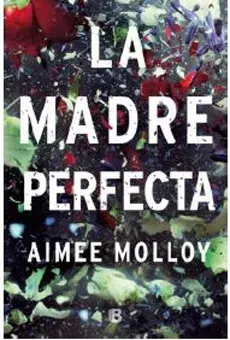 LA MADRE PERFECTA1