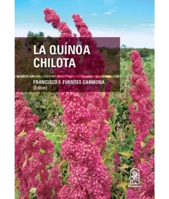 LA QUINOA CHILOTA1