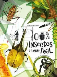 100% INSECTOS A TAMAÑO REAL1