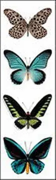 MARCAPAGINA BUTTERFLIES II1