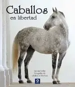 CABALLOS EN LIBERTAD1