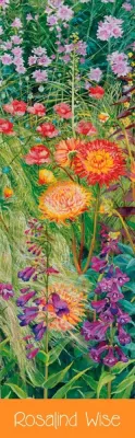 MARCAPAGINA ROSALIND WISE1