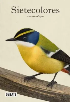 SIETECOLORES UNA ANTOLOGIA2
