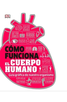 COMO FUNCIONA EL CUERPO HUMANO2