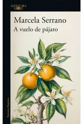 A VUELO DE PAJARO1