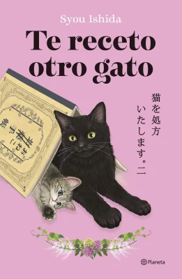 TE RECETO OTRO GATO2