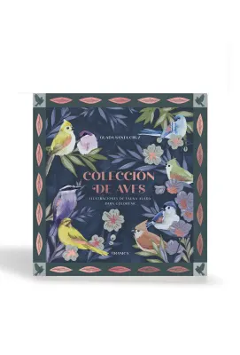 COLECCION DE AVES PARA COLOREAR2
