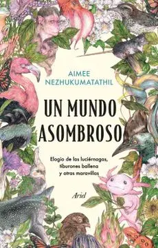 UN MUNDO ASOMBROSO2