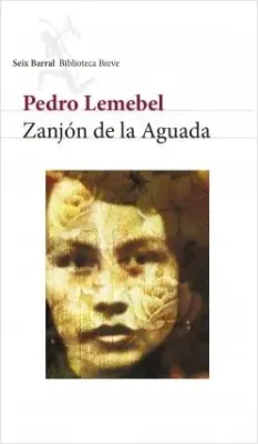 ZANJON DE LA AGUADA2