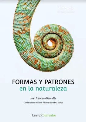 FORMAS Y PATRONES EN LA NATURALEZA1