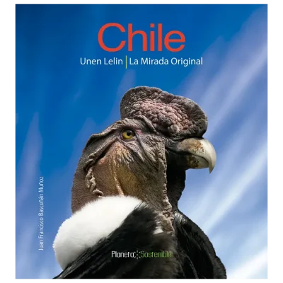 CHILE UNEN LELIN LA MIRADA ORIGINAL1