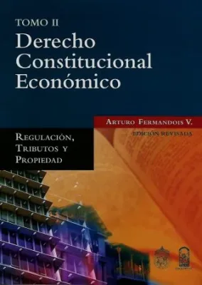 DERECHO CONSTITUCIONAL ECONOMICO TOMO II2
