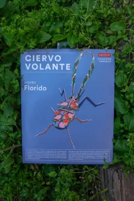 ARMABLE CIERVO VOLANTE - DISEÑO FLORIDO1