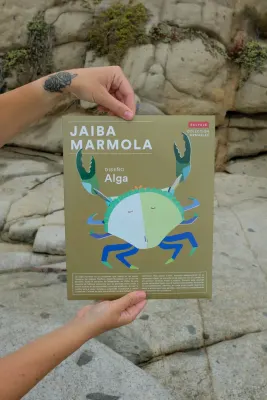 ARMABLE JAIVA MARMOLA - DISEÑO ALGA1