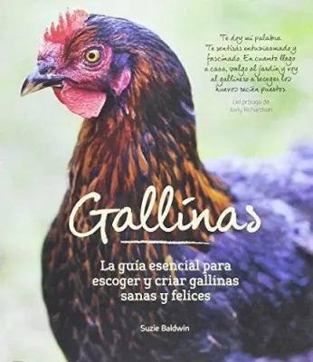 GALLINAS1
