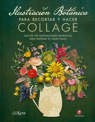 ILUSTRACION BOTANICA PARA RECORTAR Y HACER COLLAGE1