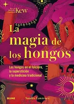 LA MAGIA DE LOS HONGOS1